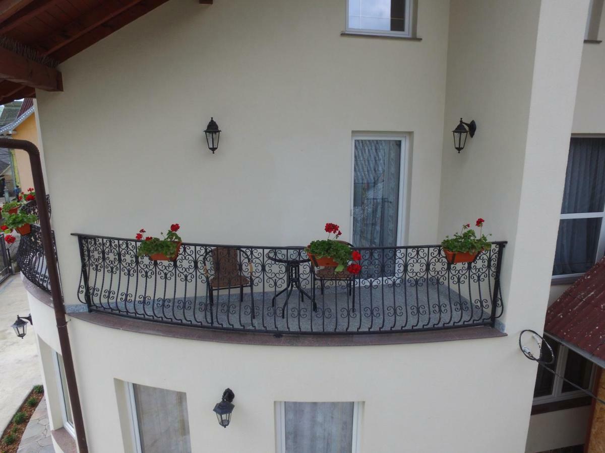 Casa Ivascu Moisei Hotel Exterior foto